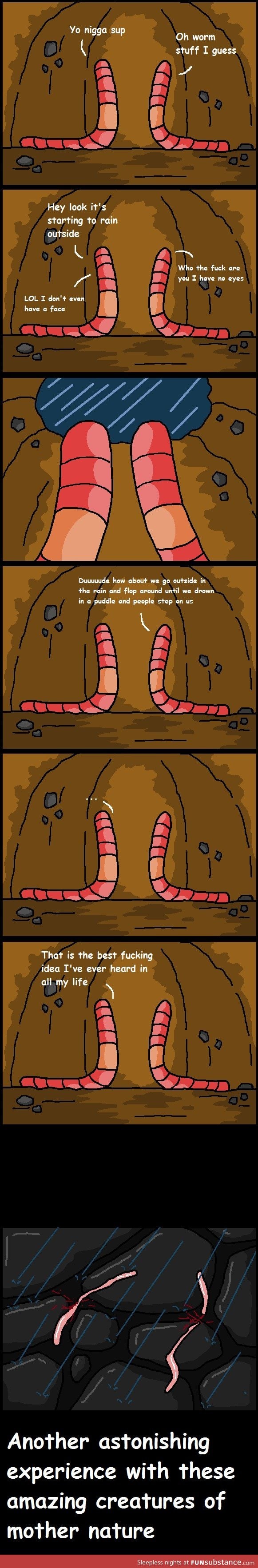 Worm logic