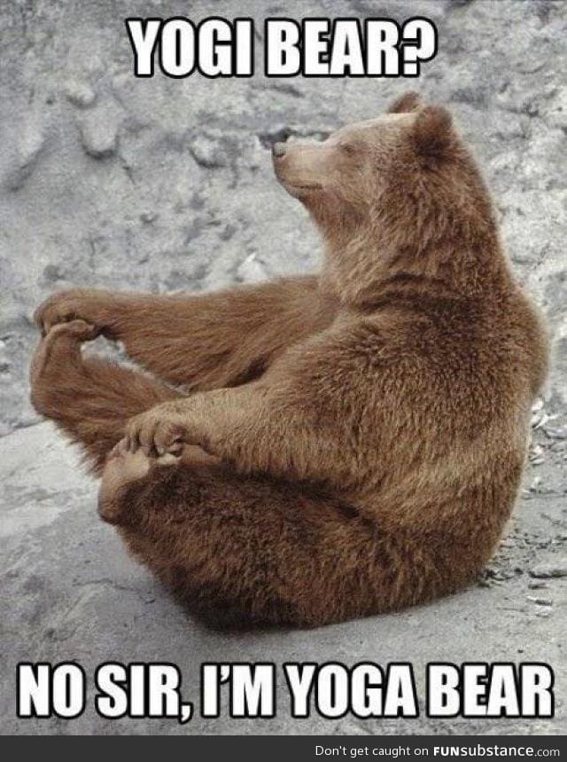 I am yoga bear !