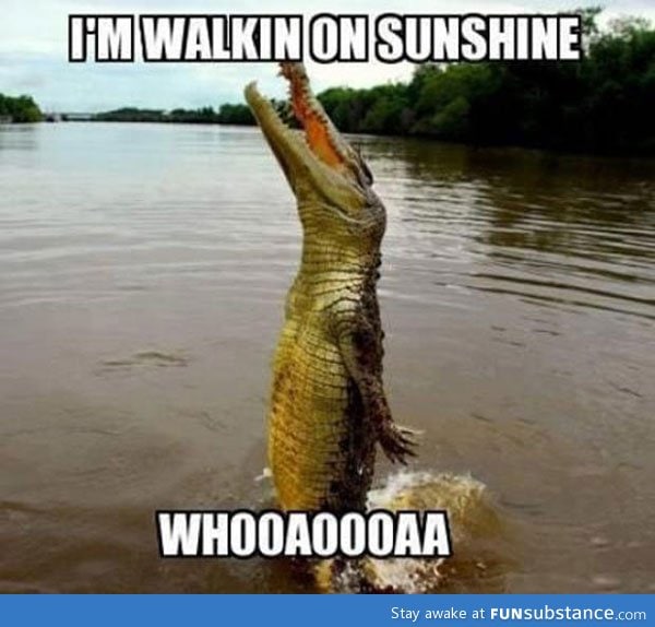 I'm walking on sunshine