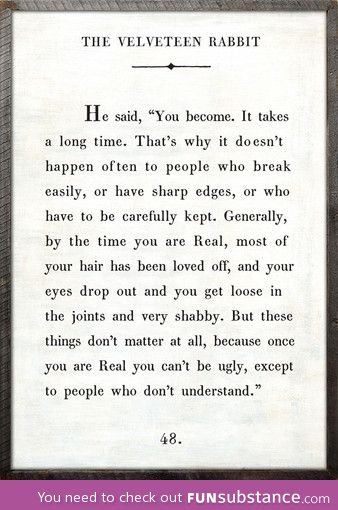 The Velveteen Rabbit...