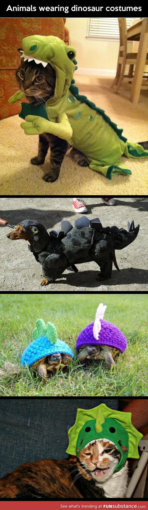 Animals wearing dinosaur costumes