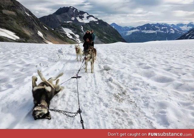 Flat Tire in Alaska