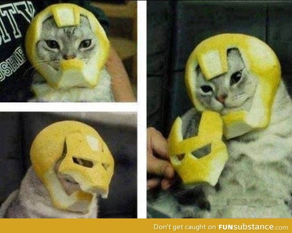 Iron cat