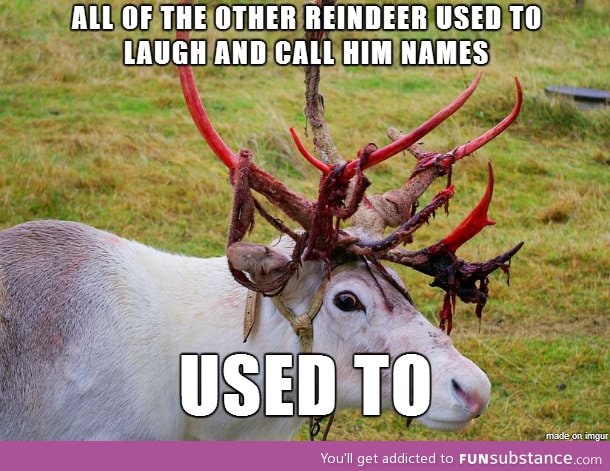 Insanity reindeer