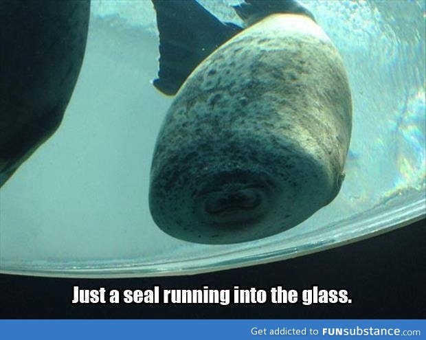 Just a seal...