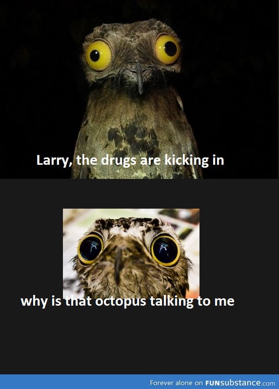 Damn it larry