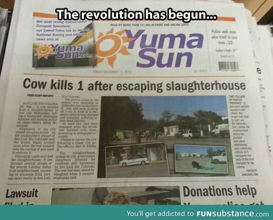 The cow revolution