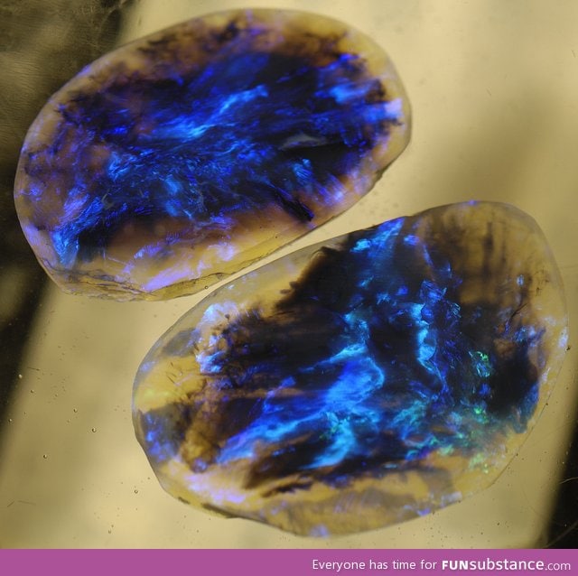 Lightning ridge black opal