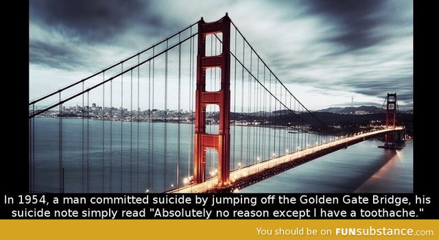 Dumbest excuse for suicide