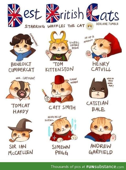 Britty Kitties...