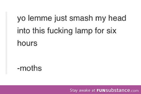 Moths