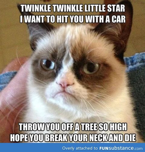 Twinkle Twinkle Little Star