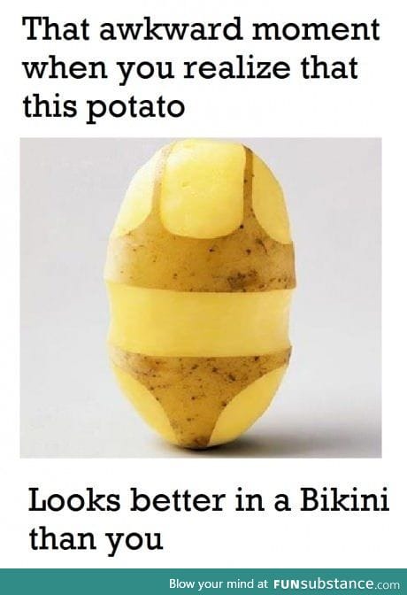 Potato is better than everything