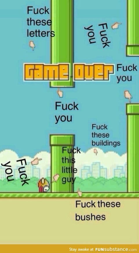 Damn you flappy bird