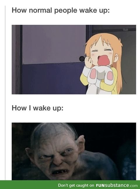 My precious sleep