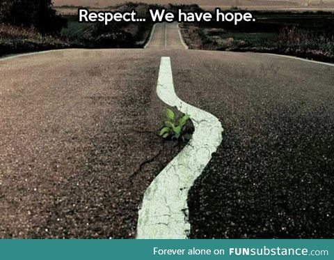 Hope in the road