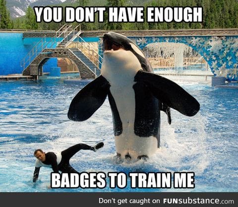 Whale trainer needs more badges