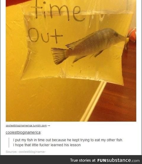 Bad Fishy!