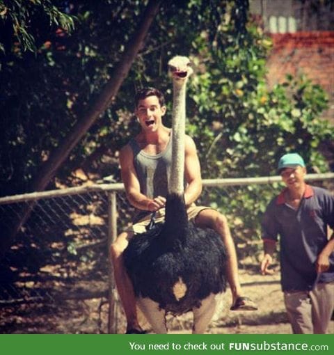 The Ostrich's face though...