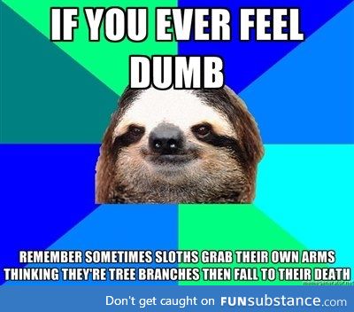 If you ever feel dumb.