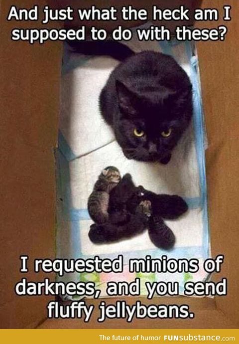 Minions of darkness