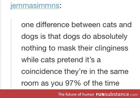 Cats vs. dogs