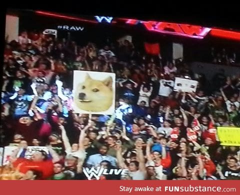 saw a familiar face in th crowd while watching wrestling