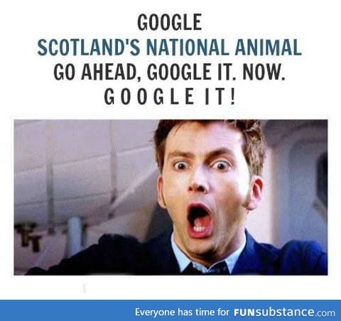 Scotland's National Animal...