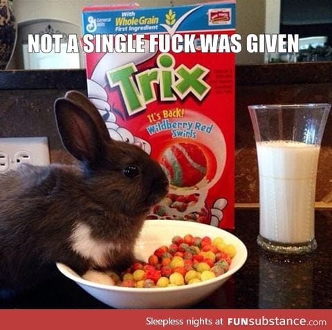 Silly Rabbit