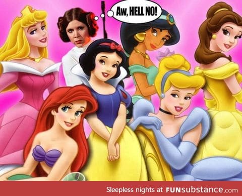 Disney Princess Le-