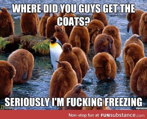 Coats