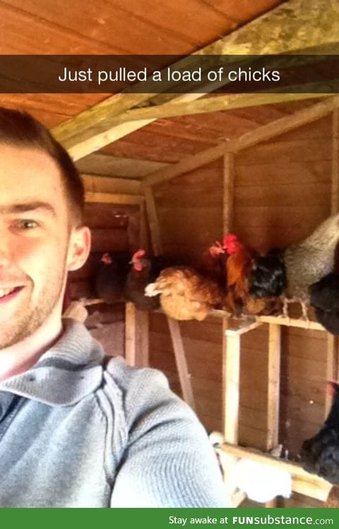 Chicken Selfie