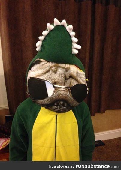 Me in a crocodile onesie