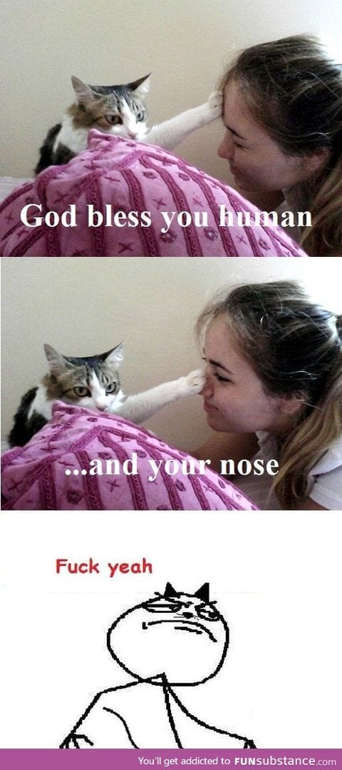 Bless you human