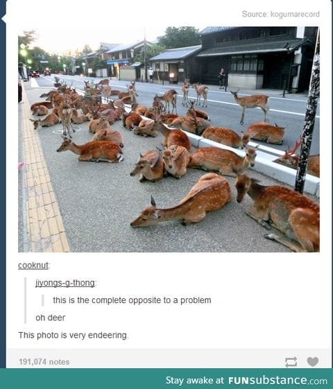 Deery me