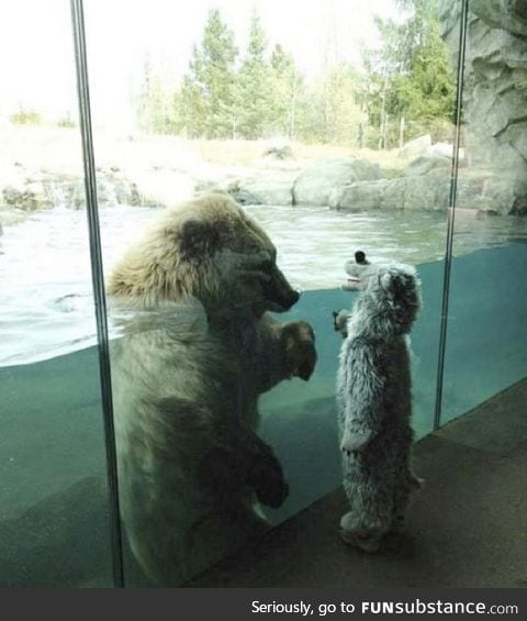 He wanted to go dressed as a bear.