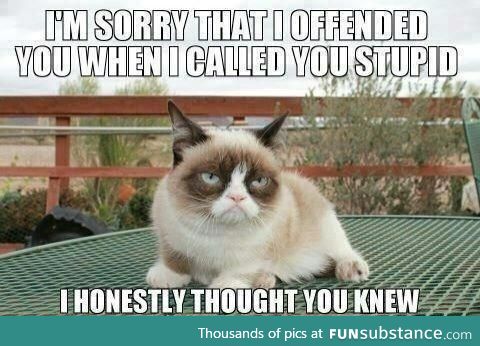 Grumpy Cat