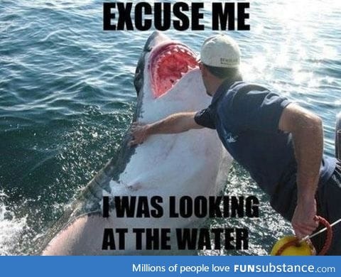 Sharks are sooo rude