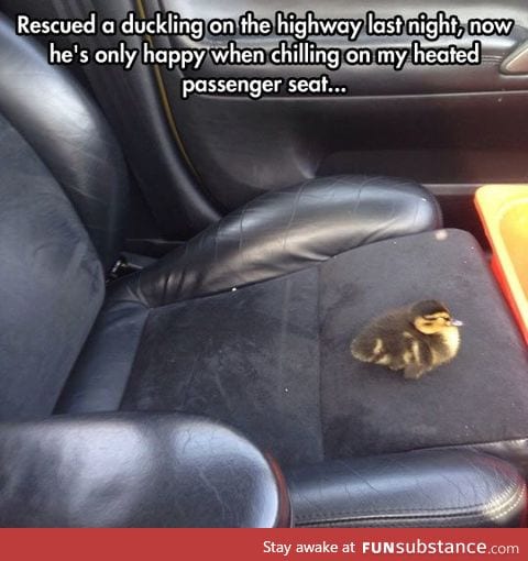 Best Passenger Ever.