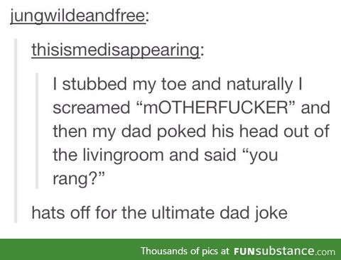 Ultimate dad joke