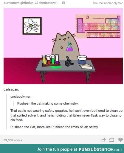 Pusheen the limits of lab safety