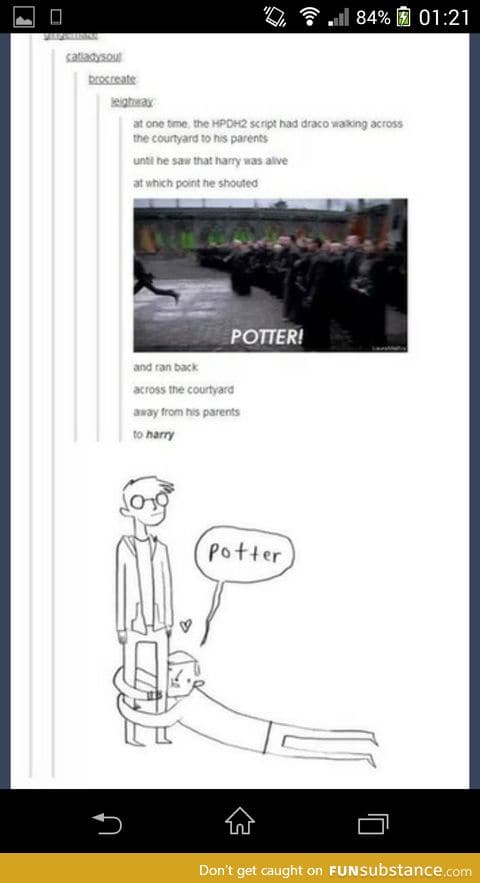 Potter!