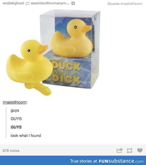 What the Duck