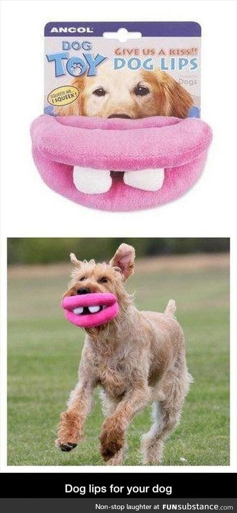 Dog lips