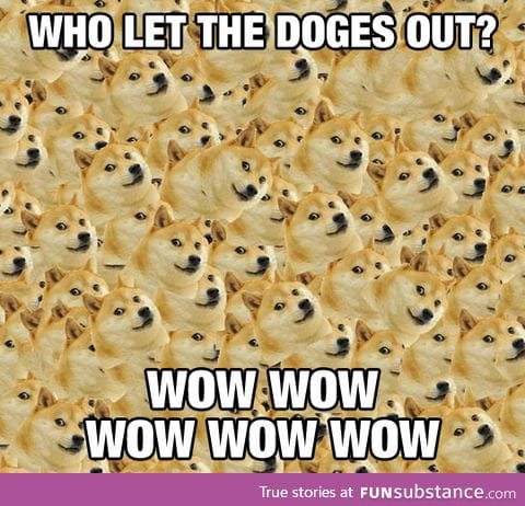 Who let the doges out?!