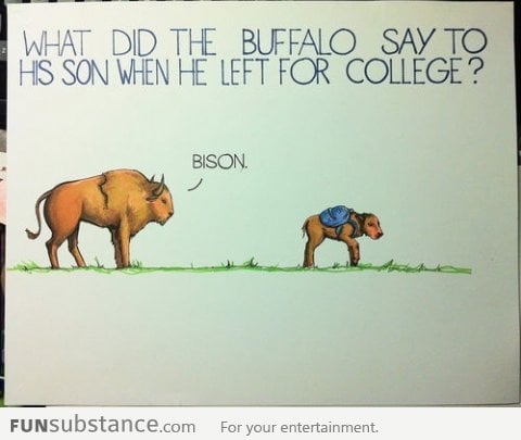 What did the Buffalo say?