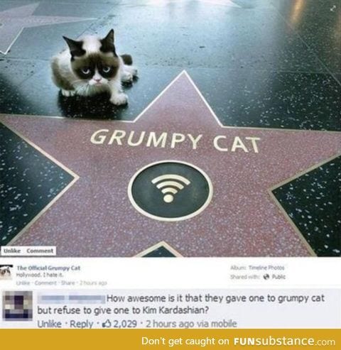 Because grumpy cat deserves it.