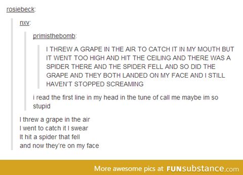 Spiders