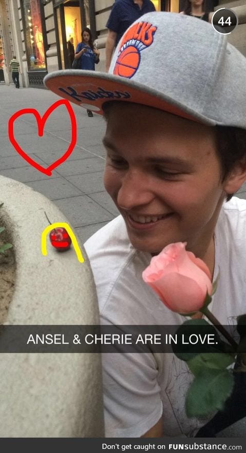 Ansel Elgort and his new girlfriend XD <3 (thanks to Jerome Jarre's snapchat)