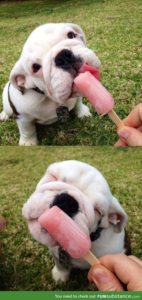 Enjoying a Popsicle